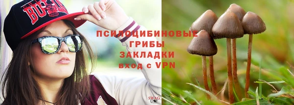 бошки Верея
