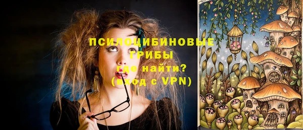 бошки Верея