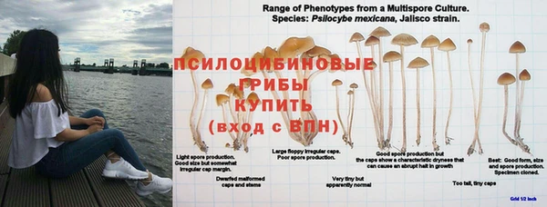 ALPHA-PVP Верхний Тагил